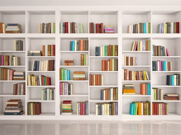 Bookshelf Assembly in Kingsport