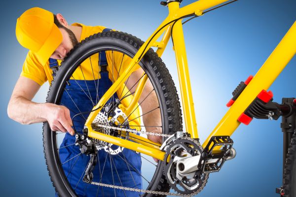 Bike Assembly in Kingsport