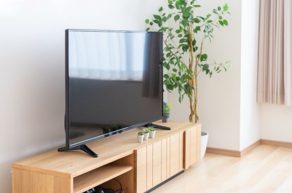 TV Stand Assembly in Kingsport