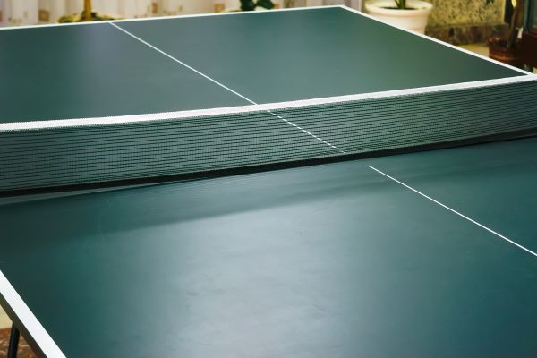 Ping Pong Table Assembly in Kingsport